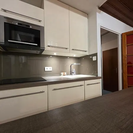 Le Serac Panoramic Mountain View Spacious 40m2 Managed By Private Host 公寓