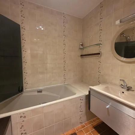 Le Serac Panoramic Mountain View Spacious 40m2 Managed By Private Host 瓦托伦斯